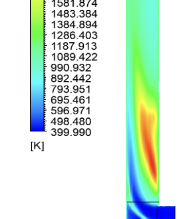 Enhancing Biomass Combustion and Gasification Through Computational Fluid Dynamics